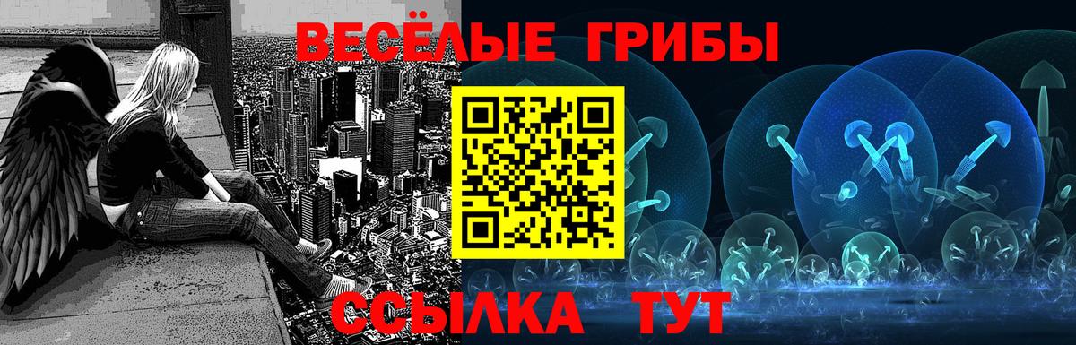 Галлюциногенные грибы Psilocybine cubensis Звенигород
