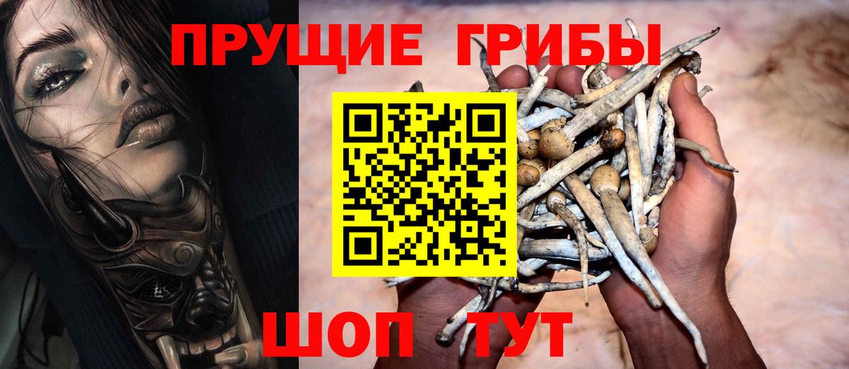 Звенигород  Псилоцибиновые грибы мицелий  где купить наркоту  Вход с VPN 